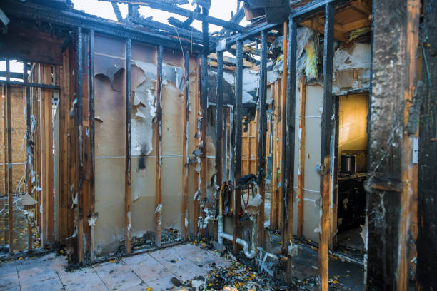 Professional Fire Damage Removal technician working in North Weeki Wachee, FL
